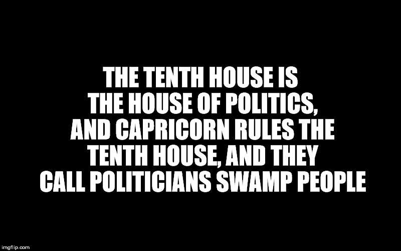 THE TENTH HOUSE IS THE HOUSE OF POLITICS, AND CAPRICORN RULES THE TENTH HOUSE, AND THEY CALL POLITICIANS SWAMP PEOPLE | image tagged in astrology,politics | made w/ Imgflip meme maker