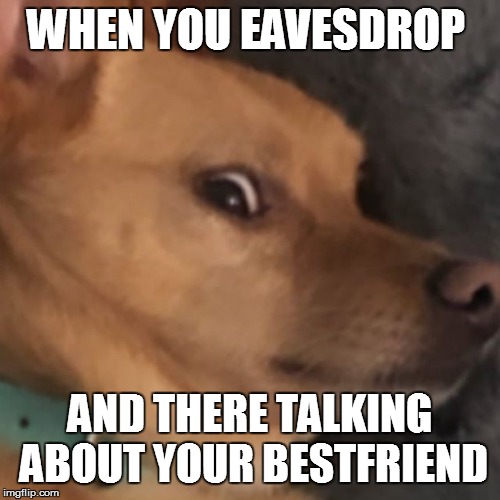 Toulouse is mood | WHEN YOU EAVESDROP; AND THERE TALKING ABOUT YOUR BESTFRIEND | image tagged in toulouse is mood | made w/ Imgflip meme maker