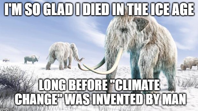Did they know? | I'M SO GLAD I DIED IN THE ICE AGE; LONG BEFORE "CLIMATE CHANGE" WAS INVENTED BY MAN | image tagged in climate change,carbon footprint,liberal logic,stupid liberals,special kind of stupid,liberal hypocrisy | made w/ Imgflip meme maker