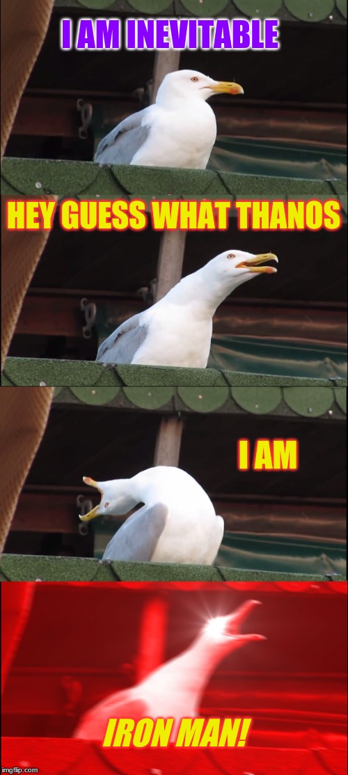 Inhaling Seagull | I AM INEVITABLE; HEY GUESS WHAT THANOS; I AM; IRON MAN! | image tagged in memes,inhaling seagull | made w/ Imgflip meme maker