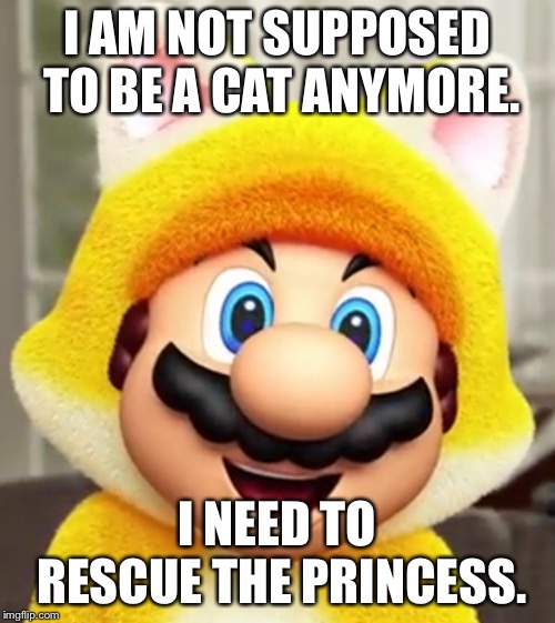 Mario was adopted as a cat! | I AM NOT SUPPOSED TO BE A CAT ANYMORE. I NEED TO RESCUE THE PRINCESS. | image tagged in cat | made w/ Imgflip meme maker