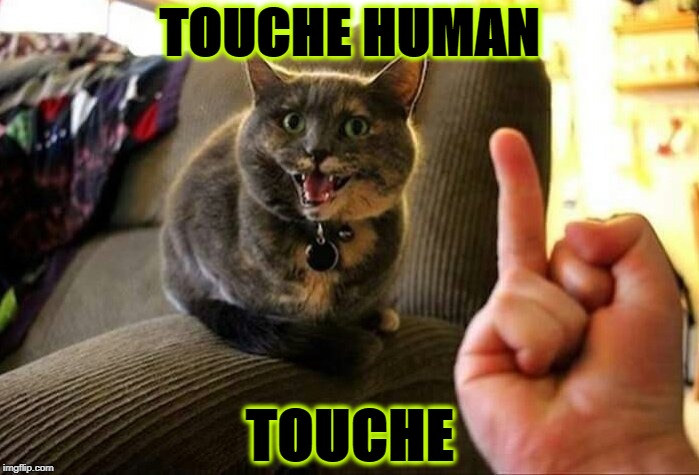 THE FINGER | TOUCHE HUMAN; TOUCHE | image tagged in the finger | made w/ Imgflip meme maker