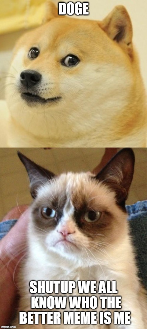 DOGE; SHUTUP WE ALL  KNOW WHO THE BETTER MEME IS ME | image tagged in memes,grumpy cat,doge | made w/ Imgflip meme maker