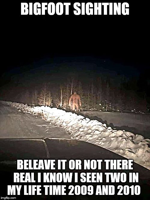 bigfoot sighting | BIGFOOT SIGHTING; BELEAVE IT OR NOT THERE REAL I KNOW I SEEN TWO IN MY LIFE TIME 2009 AND 2010 | image tagged in bigfoot,meme,memes,bigfoot sighting,real,winter drive | made w/ Imgflip meme maker