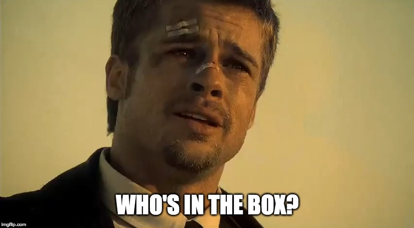 BRAD PITT SE7EN | WHO'S IN THE BOX? | image tagged in brad pitt se7en | made w/ Imgflip meme maker