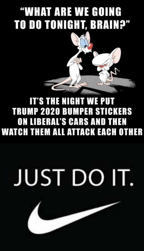 Now here's an idea whose time has come | image tagged in trump bumper stickers,just do it,pinky and the brain,trump 2020,butthurt liberals,liberalism | made w/ Imgflip meme maker