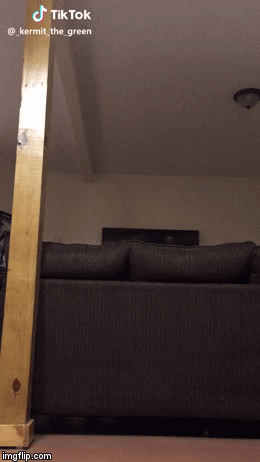 Kermit made this tiktok | image tagged in gifs | made w/ Imgflip video-to-gif maker