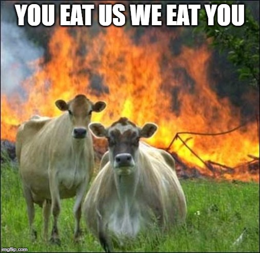 Evil Cows Meme | YOU EAT US WE EAT YOU | image tagged in memes,evil cows | made w/ Imgflip meme maker