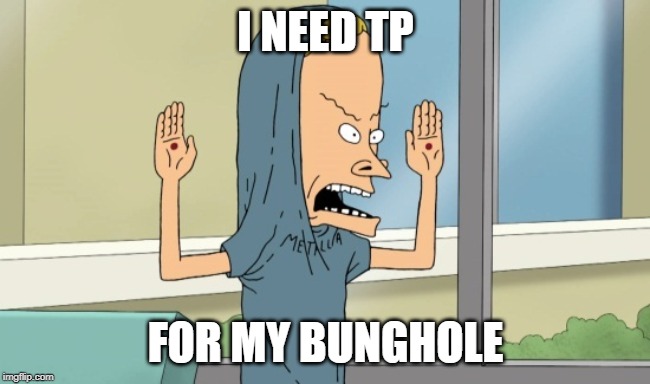 I NEED TP; FOR MY BUNGHOLE | image tagged in beavis and butthead | made w/ Imgflip meme maker