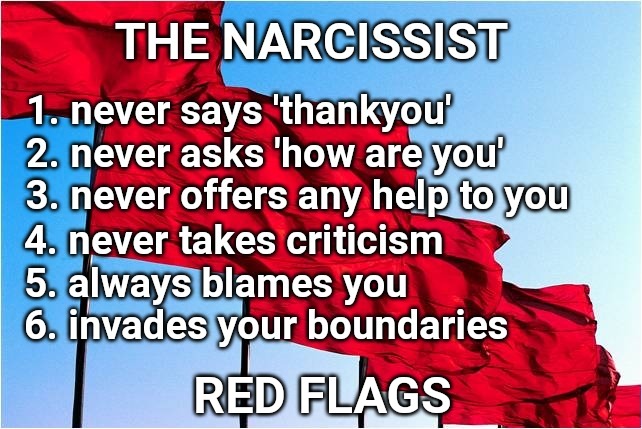 The Narcissists Red Flags | RED FLAGS | image tagged in narcissist,narcissism,trump,donald trump,memes | made w/ Imgflip meme maker