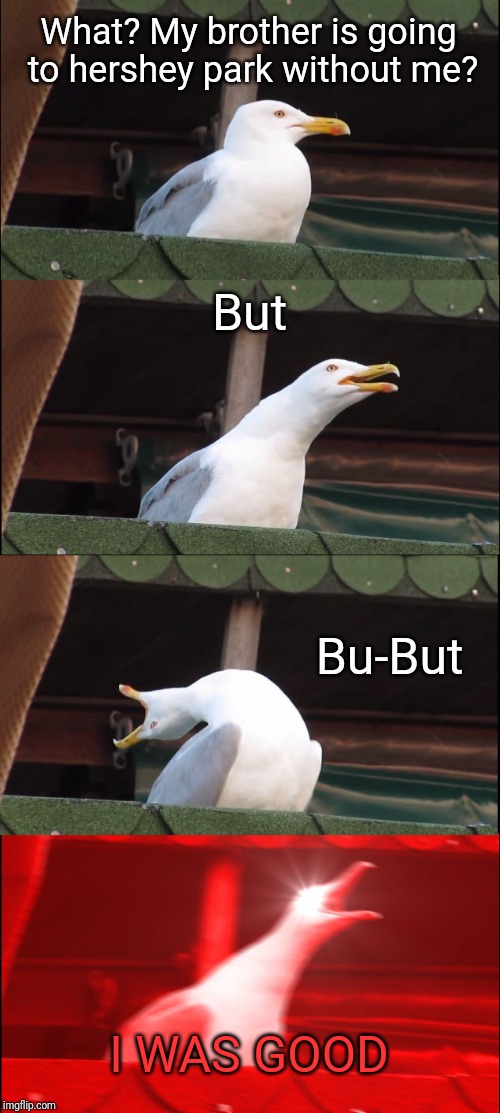 Inhaling Seagull | What? My brother is going to hershey park without me? But; Bu-But; I WAS GOOD | image tagged in memes,inhaling seagull | made w/ Imgflip meme maker