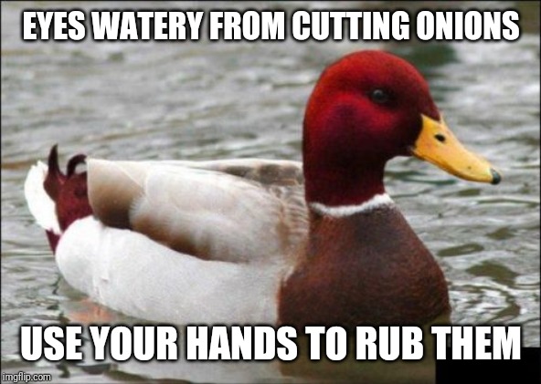 Malicious Advice Mallard | EYES WATERY FROM CUTTING ONIONS; USE YOUR HANDS TO RUB THEM | image tagged in memes,malicious advice mallard | made w/ Imgflip meme maker