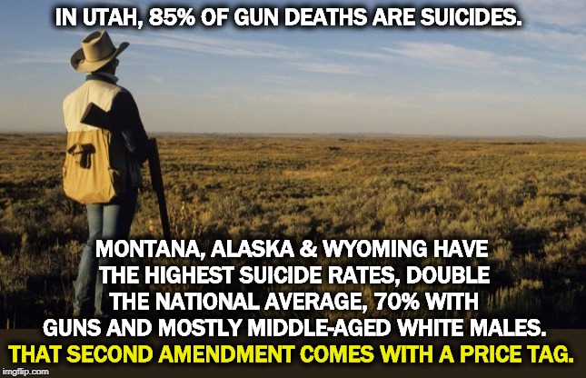 Each suicide affects an average of 112 people left behind. | IN UTAH, 85% OF GUN DEATHS ARE SUICIDES. MONTANA, ALASKA & WYOMING HAVE THE HIGHEST SUICIDE RATES, DOUBLE THE NATIONAL AVERAGE, 70% WITH GUNS AND MOSTLY MIDDLE-AGED WHITE MALES. THAT SECOND AMENDMENT COMES WITH A PRICE TAG. | image tagged in guns,gun violence,suicide | made w/ Imgflip meme maker