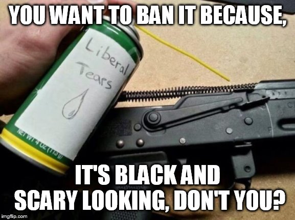 But it is so big. | YOU WANT TO BAN IT BECAUSE, IT'S BLACK AND SCARY LOOKING, DON'T YOU? | image tagged in liberal tears for my ak-47 | made w/ Imgflip meme maker