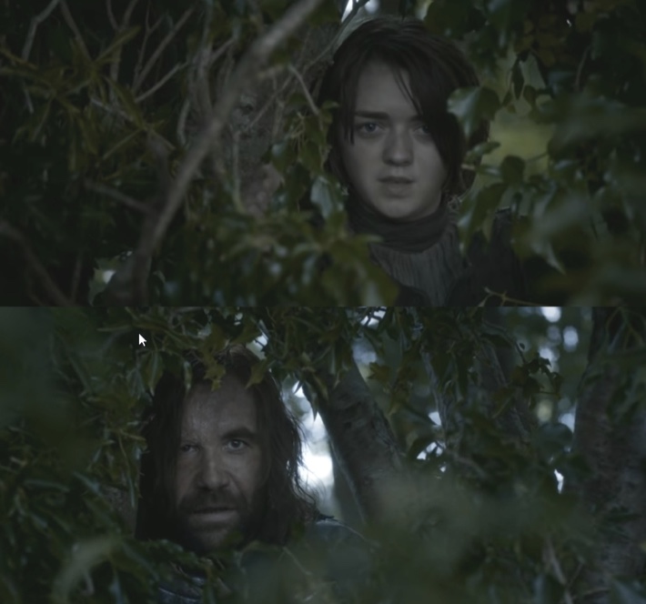 Hound arya Blank Meme Template