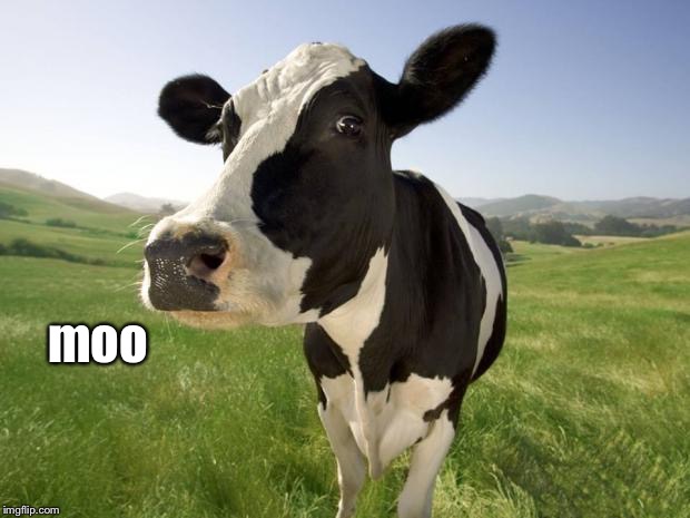 cow | moo | image tagged in cow | made w/ Imgflip meme maker
