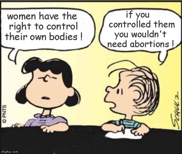 Peanuts | if you       controlled them   you wouldn't    need abortions ! women have the right to control their own bodies ! | image tagged in peanuts,abortion,memes | made w/ Imgflip meme maker
