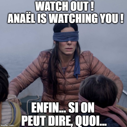 Bird Box Meme | WATCH OUT ! ANAËL IS WATCHING YOU ! ENFIN... SI ON PEUT DIRE, QUOI... | image tagged in memes,bird box | made w/ Imgflip meme maker