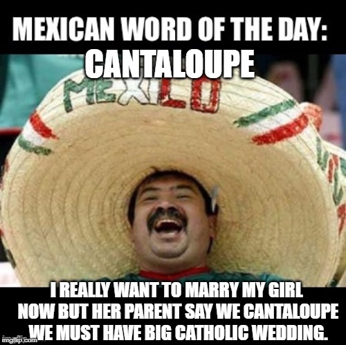 Si, Big Wedding | CANTALOUPE; I REALLY WANT TO MARRY MY GIRL NOW BUT HER PARENT SAY WE CANTALOUPE WE MUST HAVE BIG CATHOLIC WEDDING. | image tagged in mexican word of the day large | made w/ Imgflip meme maker