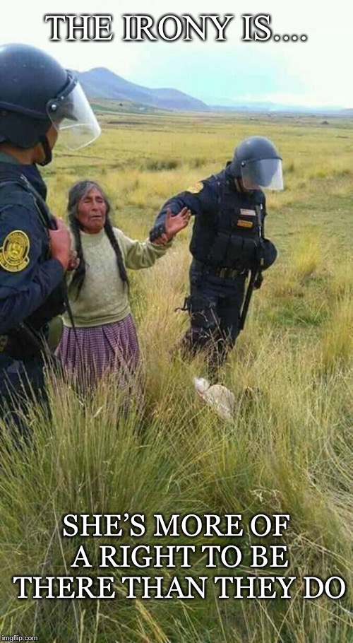 Irony | THE IRONY IS.... SHE’S MORE OF A RIGHT TO BE THERE THAN THEY DO | image tagged in standing rock,pipeline,native,indigenous,environment,rainbow warrior | made w/ Imgflip meme maker