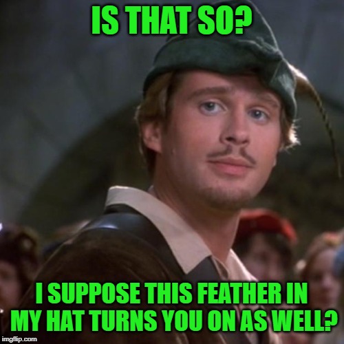 Superior Robin Hood | IS THAT SO? I SUPPOSE THIS FEATHER IN MY HAT TURNS YOU ON AS WELL? | image tagged in superior robin hood | made w/ Imgflip meme maker