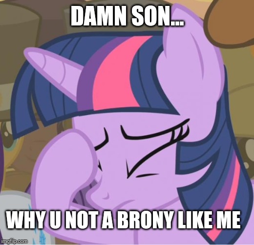 Mlp Twilight Sparkle facehoof | DAMN SON... WHY U NOT A BRONY LIKE ME | image tagged in mlp twilight sparkle facehoof | made w/ Imgflip meme maker