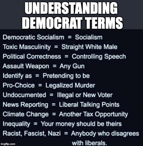 Let’s See If Future Microsoft Spellcheckers Can Handle This | UNDERSTANDING DEMOCRAT TERMS | image tagged in democrats,political correctness,abortion,climate change,income inequality,fascist | made w/ Imgflip meme maker