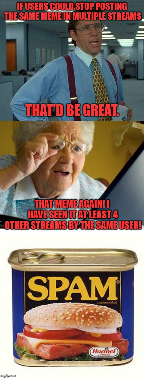 It should be considered spam to post the same meme in more than 2 streams. | IF USERS COULD STOP POSTING THE SAME MEME IN MULTIPLE STREAMS; THAT'D BE GREAT. THAT MEME AGAIN! I HAVE SEEN IT AT LEAST 4 OTHER STREAMS BY THE SAME USER! | image tagged in memes,that would be great,old lady at computer,spam | made w/ Imgflip meme maker