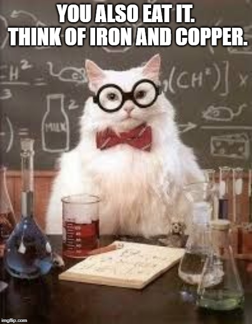 SMART CAT | YOU ALSO EAT IT. THINK OF IRON AND COPPER. | image tagged in smart cat | made w/ Imgflip meme maker