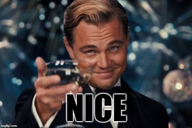 Leonardo Dicaprio Cheers Meme | NICE | image tagged in memes,leonardo dicaprio cheers | made w/ Imgflip meme maker