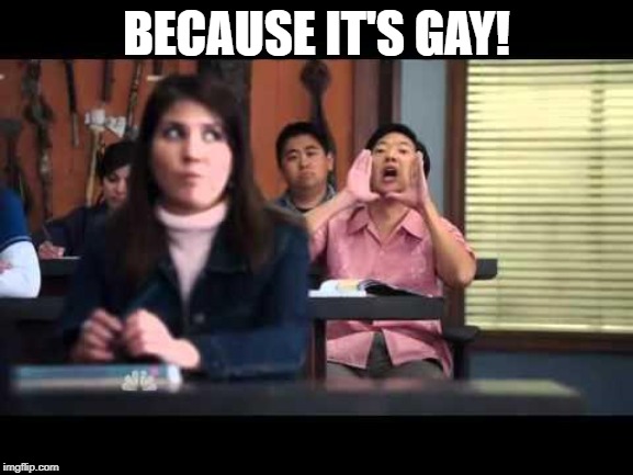 ha gay | BECAUSE IT'S GAY! | image tagged in ha gay | made w/ Imgflip meme maker