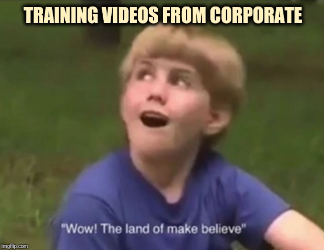 The Land of Make Believe | TRAINING VIDEOS FROM CORPORATE | image tagged in the land of make believe | made w/ Imgflip meme maker