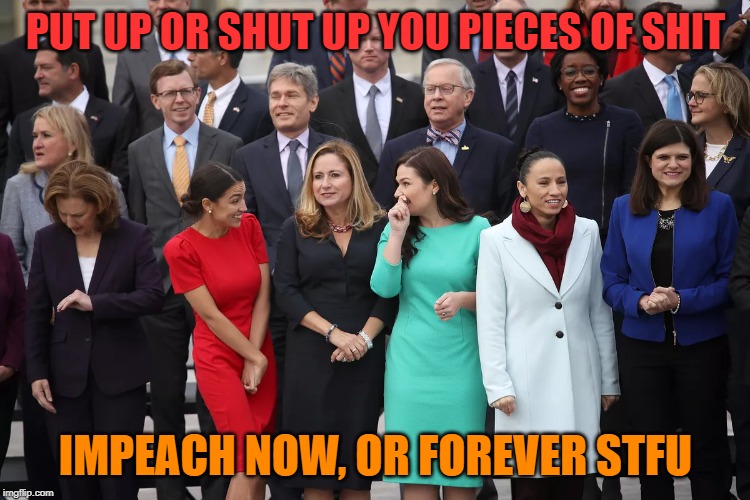 Scumbag pieces of shit | PUT UP OR SHUT UP YOU PIECES OF SHIT; IMPEACH NOW, OR FOREVER STFU | image tagged in congress,impeach trump | made w/ Imgflip meme maker
