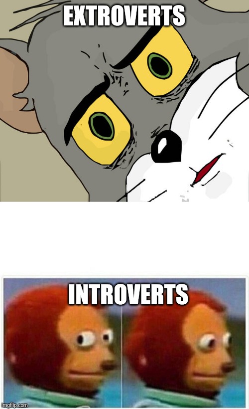 EXTROVERTS; INTROVERTS | image tagged in monkey puppet,memes,unsettled tom | made w/ Imgflip meme maker