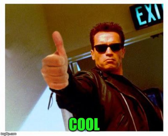 terminator thumbs up | COOL | image tagged in terminator thumbs up | made w/ Imgflip meme maker