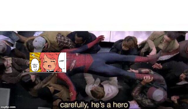 Carefully he's a hero | image tagged in carefully he's a hero | made w/ Imgflip meme maker