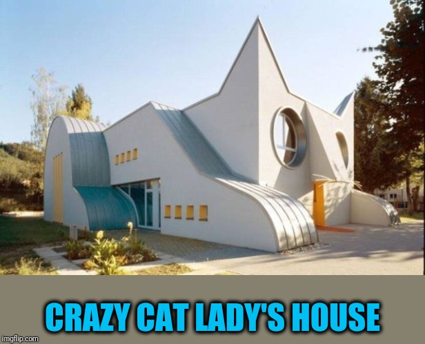Someone paid money to have this built. | CRAZY CAT LADY'S HOUSE | image tagged in cathouse | made w/ Imgflip meme maker