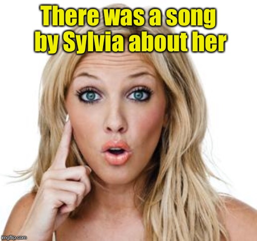 Dumb blonde | There was a song by Sylvia about her | image tagged in dumb blonde | made w/ Imgflip meme maker