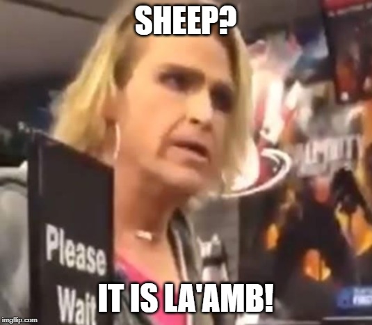 It's Ma'am |  SHEEP? IT IS LA'AMB! | image tagged in it's ma'am | made w/ Imgflip meme maker