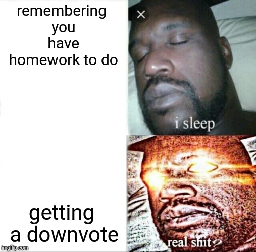 Sleeping Shaq | remembering you have homework to do; getting a downvote | image tagged in memes,sleeping shaq | made w/ Imgflip meme maker
