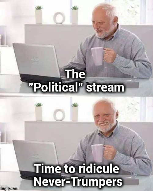 The most fun on IMGFLIP | The "Political" stream; Time to ridicule Never-Trumpers | image tagged in memes,nevertrump,morons,single,thought,impeach trump | made w/ Imgflip meme maker