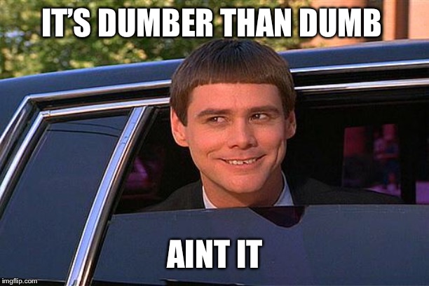 cool and stupid | IT’S DUMBER THAN DUMB AINT IT | image tagged in cool and stupid | made w/ Imgflip meme maker