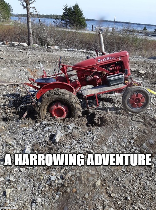 A HARROWING ADVENTURE | image tagged in puns | made w/ Imgflip meme maker