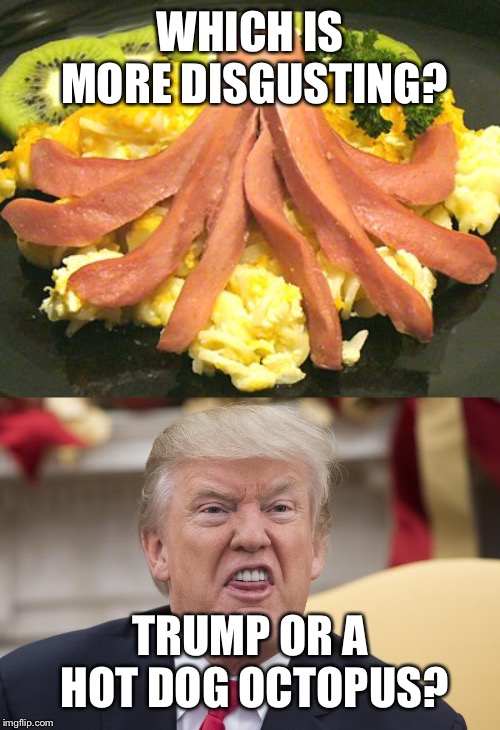 WHICH IS MORE DISGUSTING? TRUMP OR A HOT DOG OCTOPUS? | image tagged in hot dog octopus | made w/ Imgflip meme maker