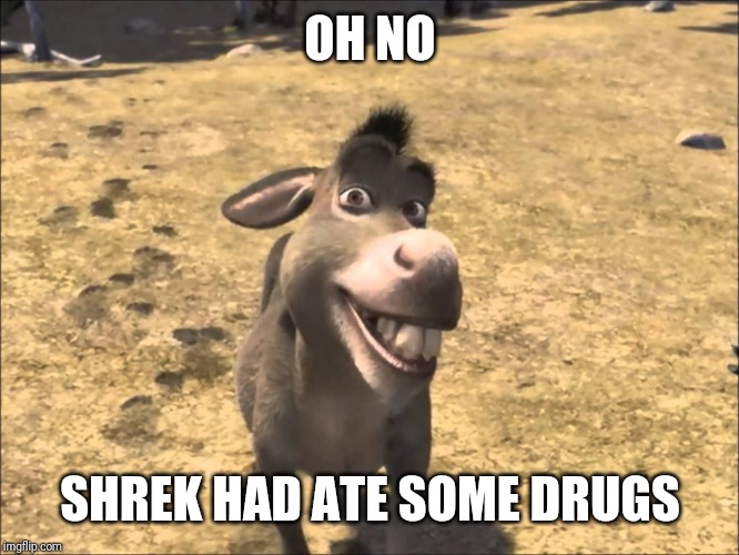 Donkey Shrek | OH NO SHREK HAD ATE SOME DRUGS | image tagged in donkey shrek | made w/ Imgflip meme maker