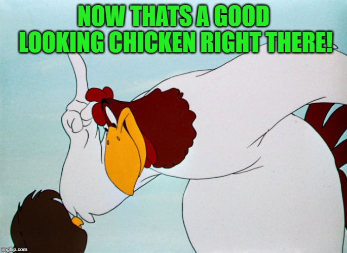 fog horn | NOW THATS A GOOD LOOKING CHICKEN RIGHT THERE! | image tagged in fog horn | made w/ Imgflip meme maker