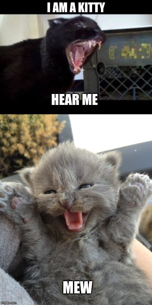 I AM A KITTY; HEAR ME; MEW | image tagged in yay kitty,sylvester the talking kitty cat | made w/ Imgflip meme maker
