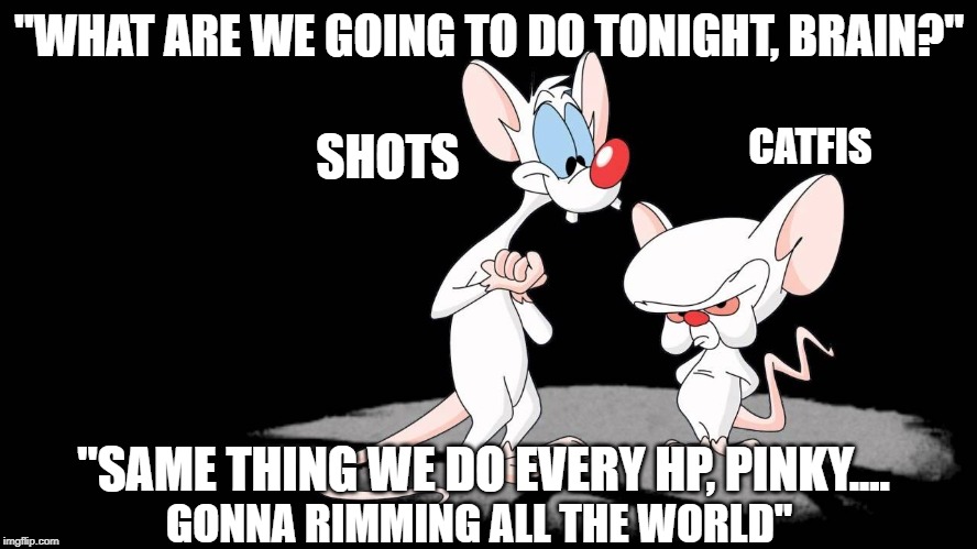 "WHAT ARE WE GOING TO DO TONIGHT, BRAIN?"; SHOTS; CATFIS; "SAME THING WE DO EVERY HP, PINKY.... GONNA RIMMING ALL THE WORLD" | made w/ Imgflip meme maker