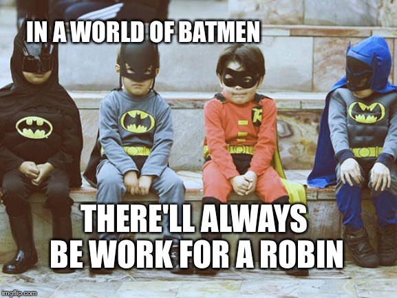 Robin | IN A WORLD OF BATMEN; THERE'LL ALWAYS BE WORK FOR A ROBIN | image tagged in truth | made w/ Imgflip meme maker