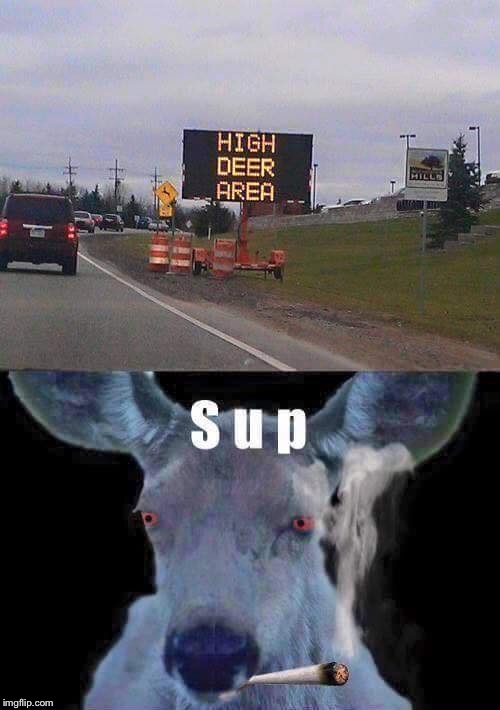 Could someone tell me where this is? My supplier got arrested. | image tagged in memes,funny signs,funny road signs,high deer,deer in headlights | made w/ Imgflip meme maker